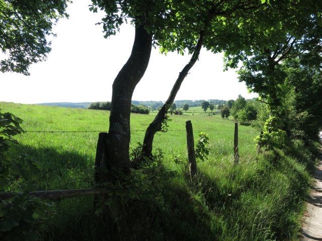 HWK Ardennes 2014 094.jpg